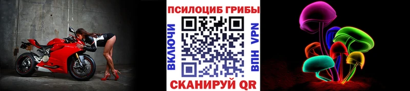 omg как войти  купить  сайты  Заринск  Галлюциногенные грибы Psilocybe 