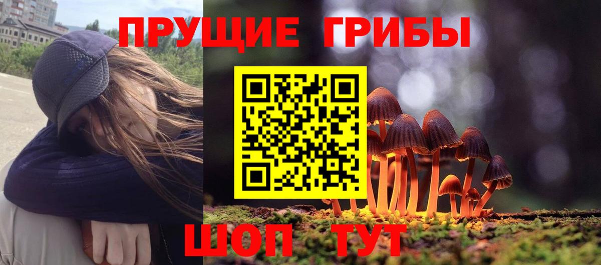 Галлюциногенные грибы Psilocybine cubensis Заринск