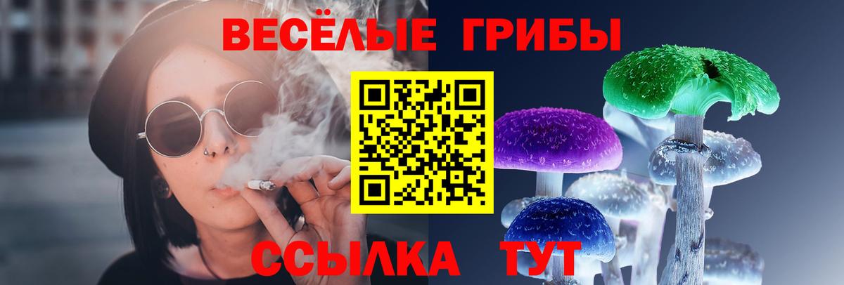 Псилоцибиновые грибы Magic Shrooms  Вход с VPN  Галлюциногенные грибы GOLDEN TEACHER  Заринск 